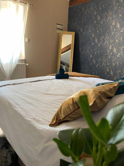Appartement De Charme 80M2 Givors Zewnętrze zdjęcie