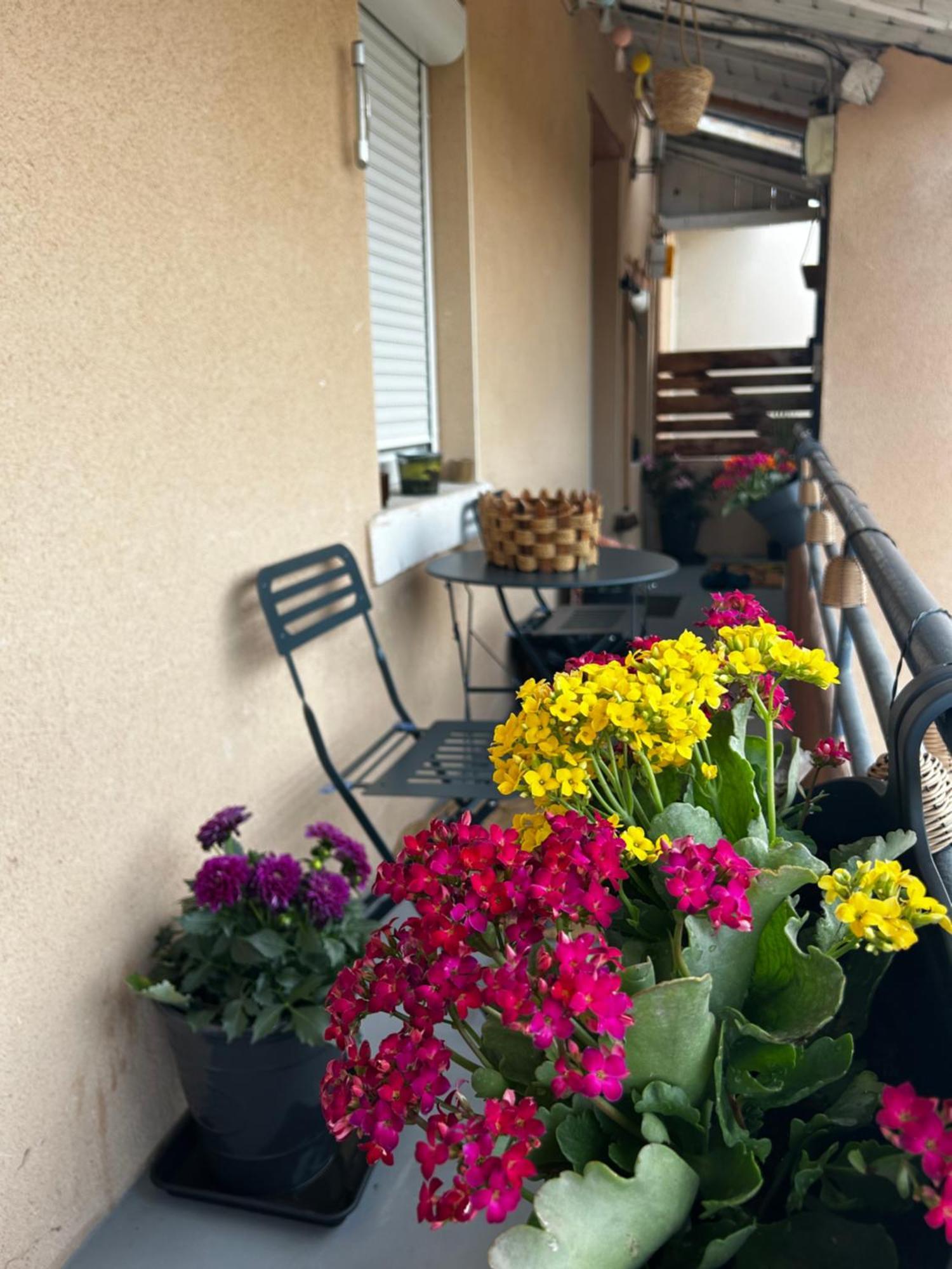 Appartement De Charme 80M2 Givors Zewnętrze zdjęcie